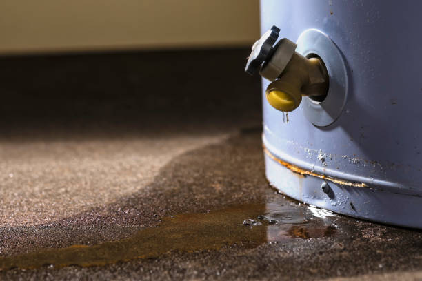 Best Water damage restoration near me  in Isanti, MN