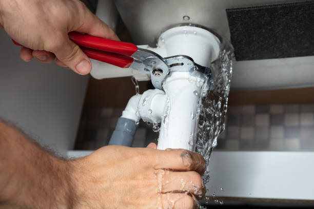 Best Flood restoration services  in Isanti, MN