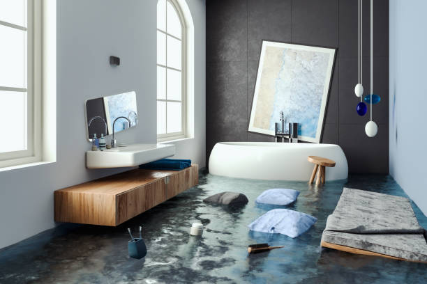Best Professional water damage repair  in Isanti, MN