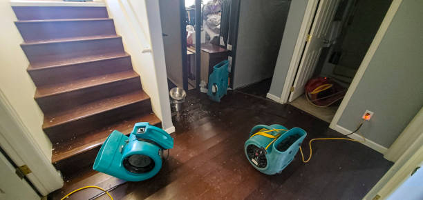 Trusted Isanti, MN Water damage restoration Experts