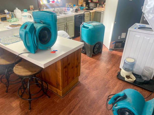 Best Basement water damage restoration  in Isanti, MN