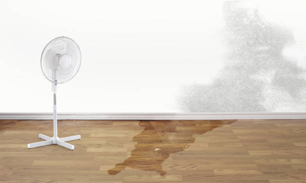 Best Commercial water damage restoration  in Isanti, MN