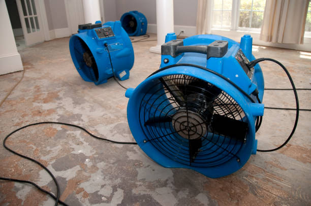 Best Flood damage cleanup  in Isanti, MN