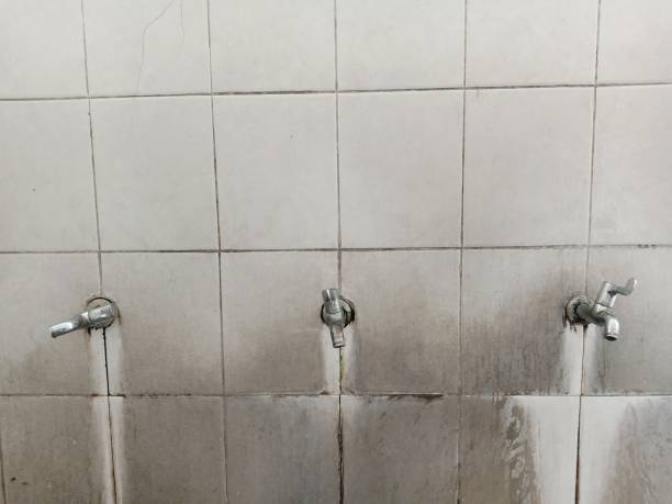 Best Local water damage restoration  in Isanti, MN