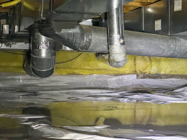 Best 24/7 water damage repair  in Isanti, MN