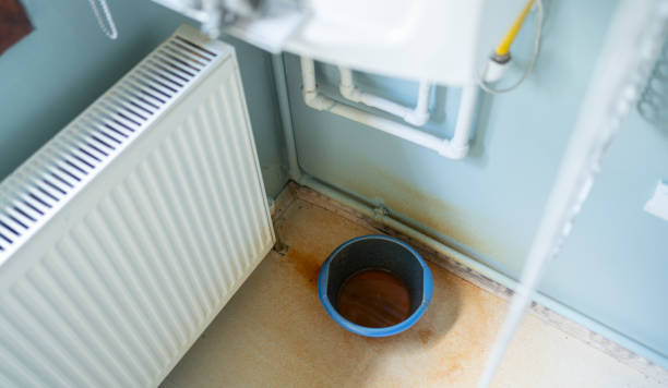 Best Water damage restoration insurance claims  in Isanti, MN
