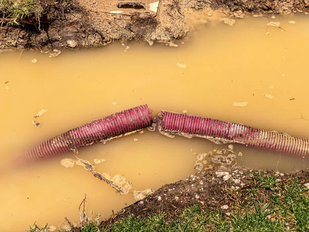 Best 24/7 water damage repair  in Isanti, MN