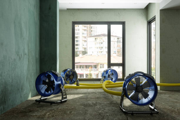 Best Sewage cleanup and water damage restoration  in Isanti, MN