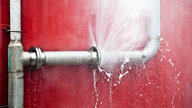 Best Residential water damage restoration  in Isanti, MN