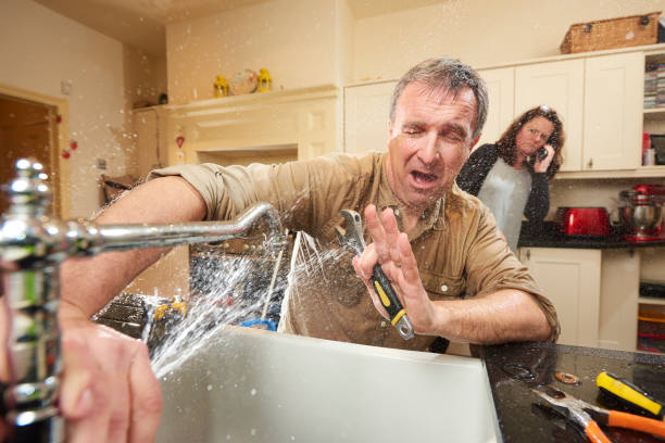 Best Fire Damage Restoration  in Isanti, MN